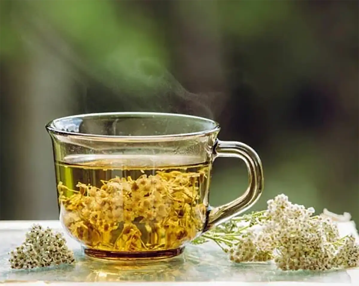 خواص عرق بومادران برای معده، نفخ و بهبود هضم