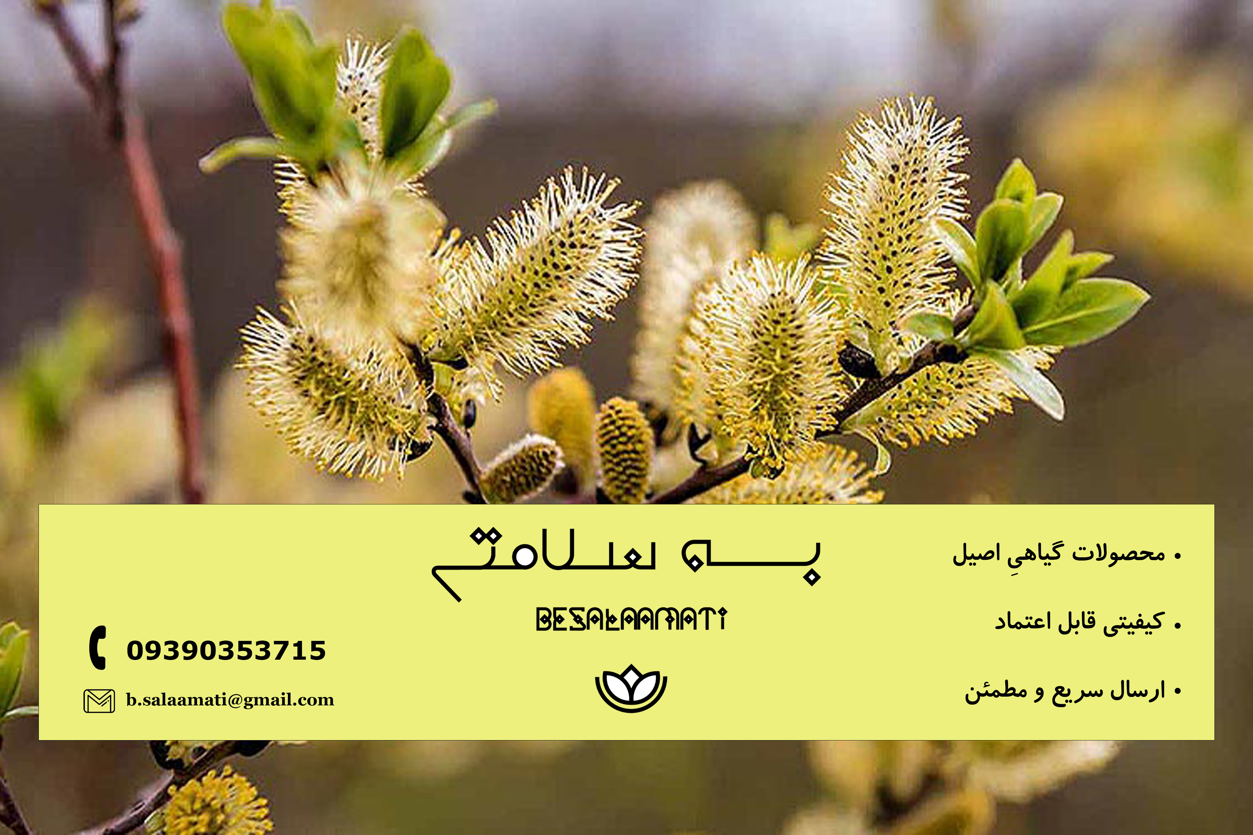 خواص عرق بیدمشک برای رحم